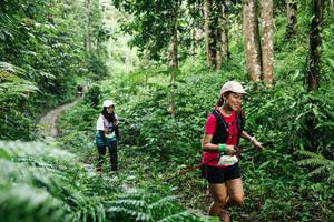 BIB: 
                            <button type="button" onclick="openModal(26403231)" class="btn btn-primary btn-sm float-right btn-popup" data-toggle="modal" data-target=".modal-high-quality">
                        <i class="fas fa-shopping-cart"></i> Add to Cart
                    </button>
                                            <button type="button" onclick="isThisMe(26403231, true)" class="btn btn-success btn-sm float-right btn-popup btn-isme hidden" data-toggle="tooltip" data-placement="bottom" title="นี่คือรูปของคุณใช่ไหม คลิกที่นี่เพื่อเอาเข้าอัลบั้ม">
                        <i class="fas fa-plus"></i> Add to album
                    </button>
                    <button type="button" onclick="isThisMe(26403231, false)" class="btn btn-warning btn-sm float-right btn-popup btn-isnotme hidden">
                        <i class="fas fa-ban"></i> Remove from album
                    </button>